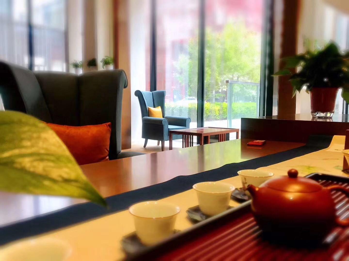 呼和浩特品茶