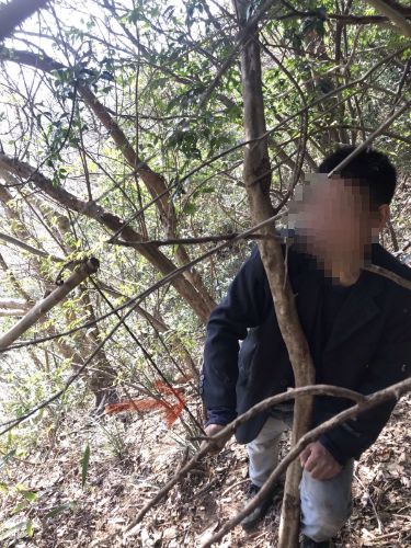 奉化野鸡最多的处所