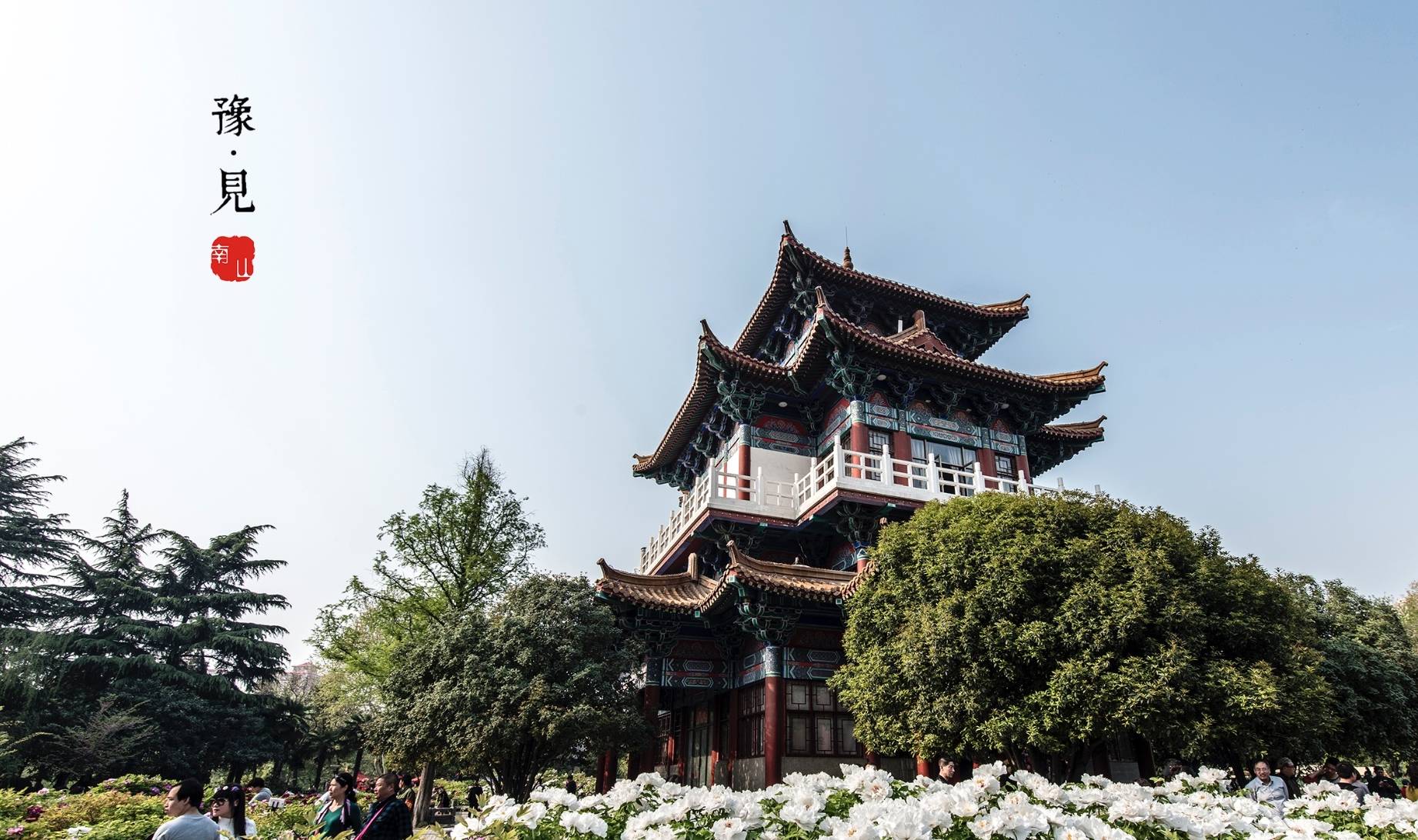 洛阳幼小路哪里的最便宜