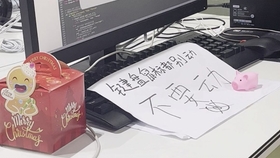 深夜探花