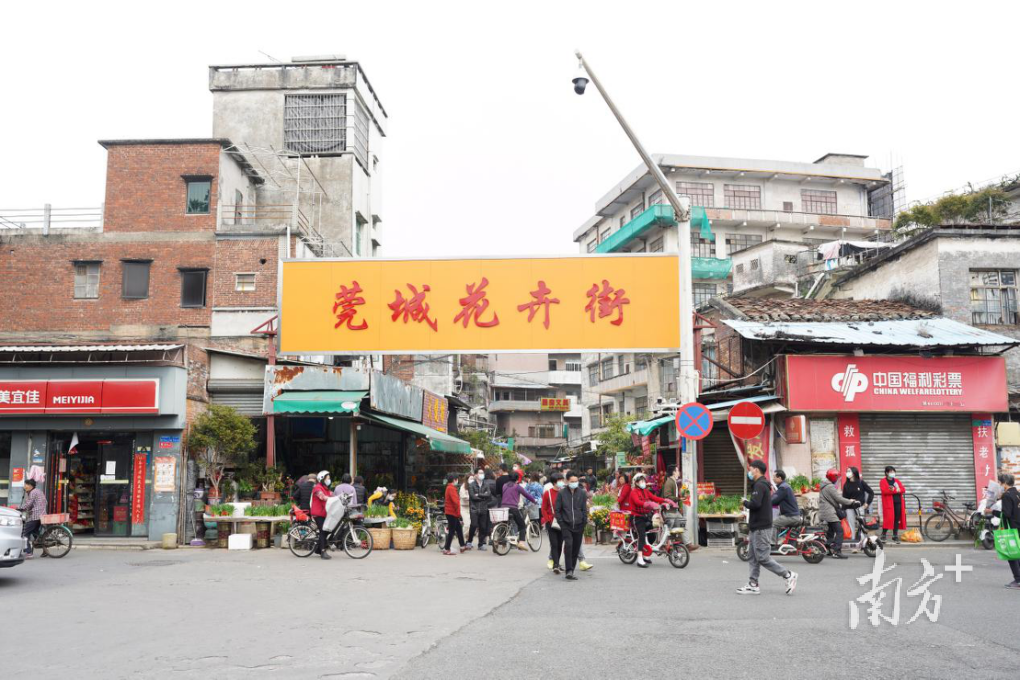 勒流百花街站街哪条街