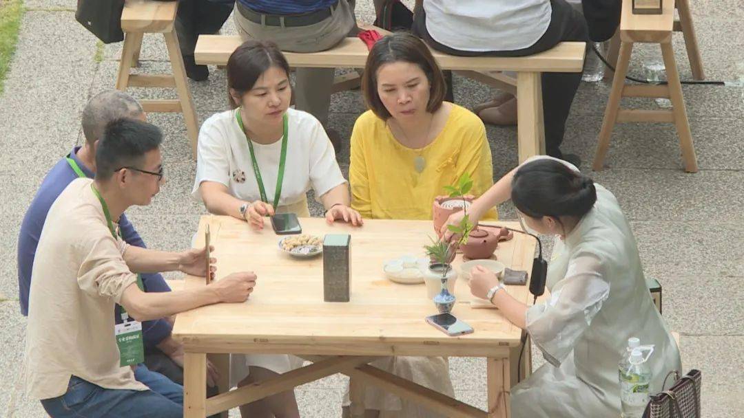 丽江学生品茶