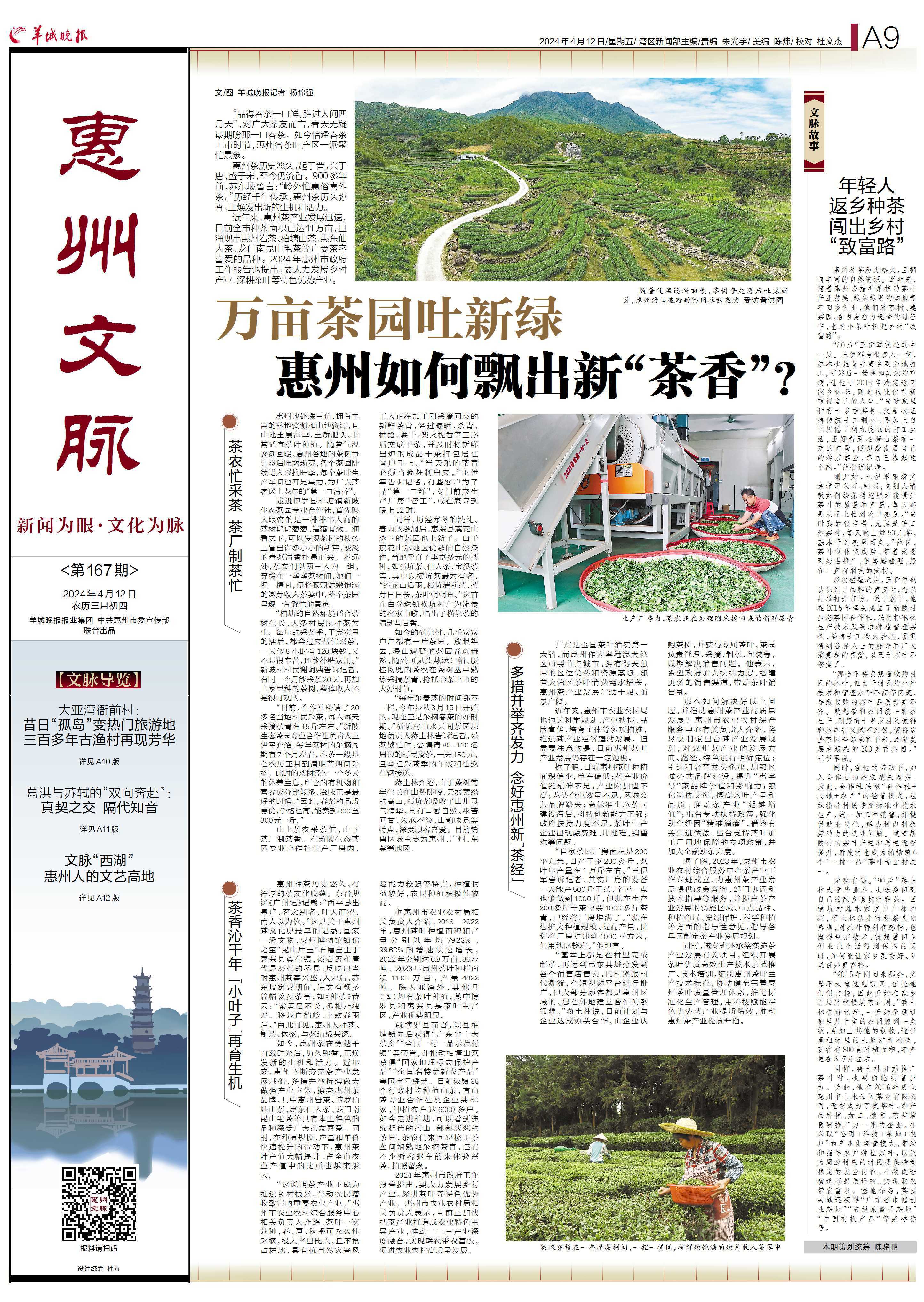 西安新茶看图预约