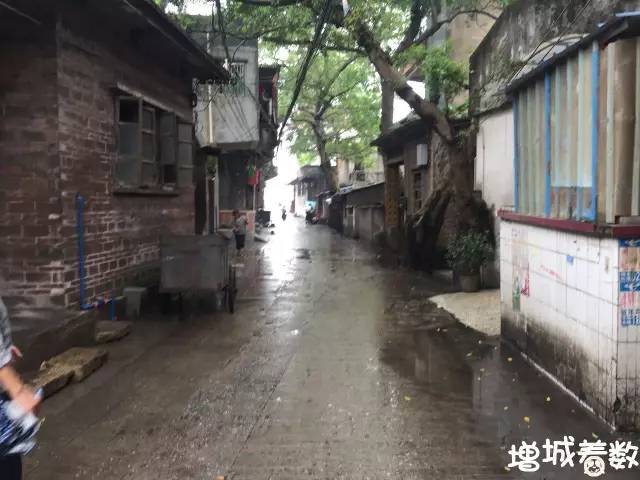 新塘大墩村幼小路在哪个地位