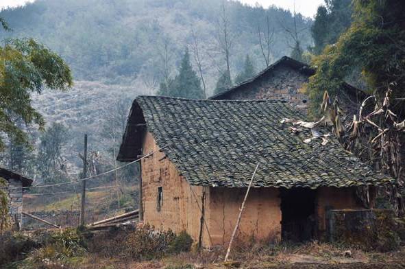 西安长里村鸡窝为啥闻名啊