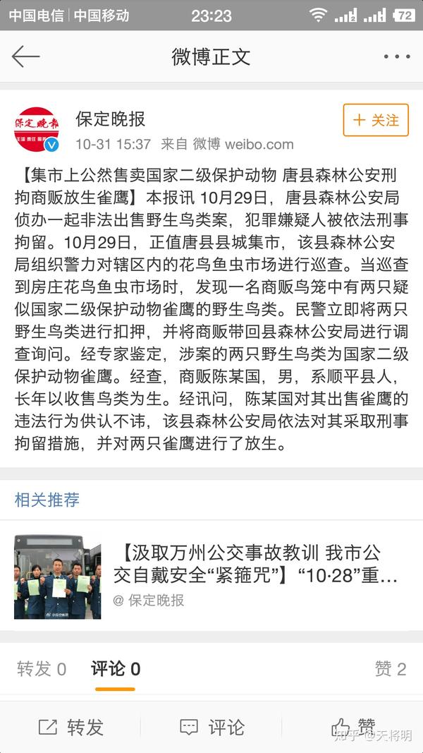 保定野鸡区究竟在哪