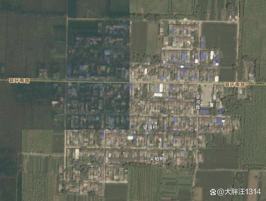 武功县哪条小路有娃