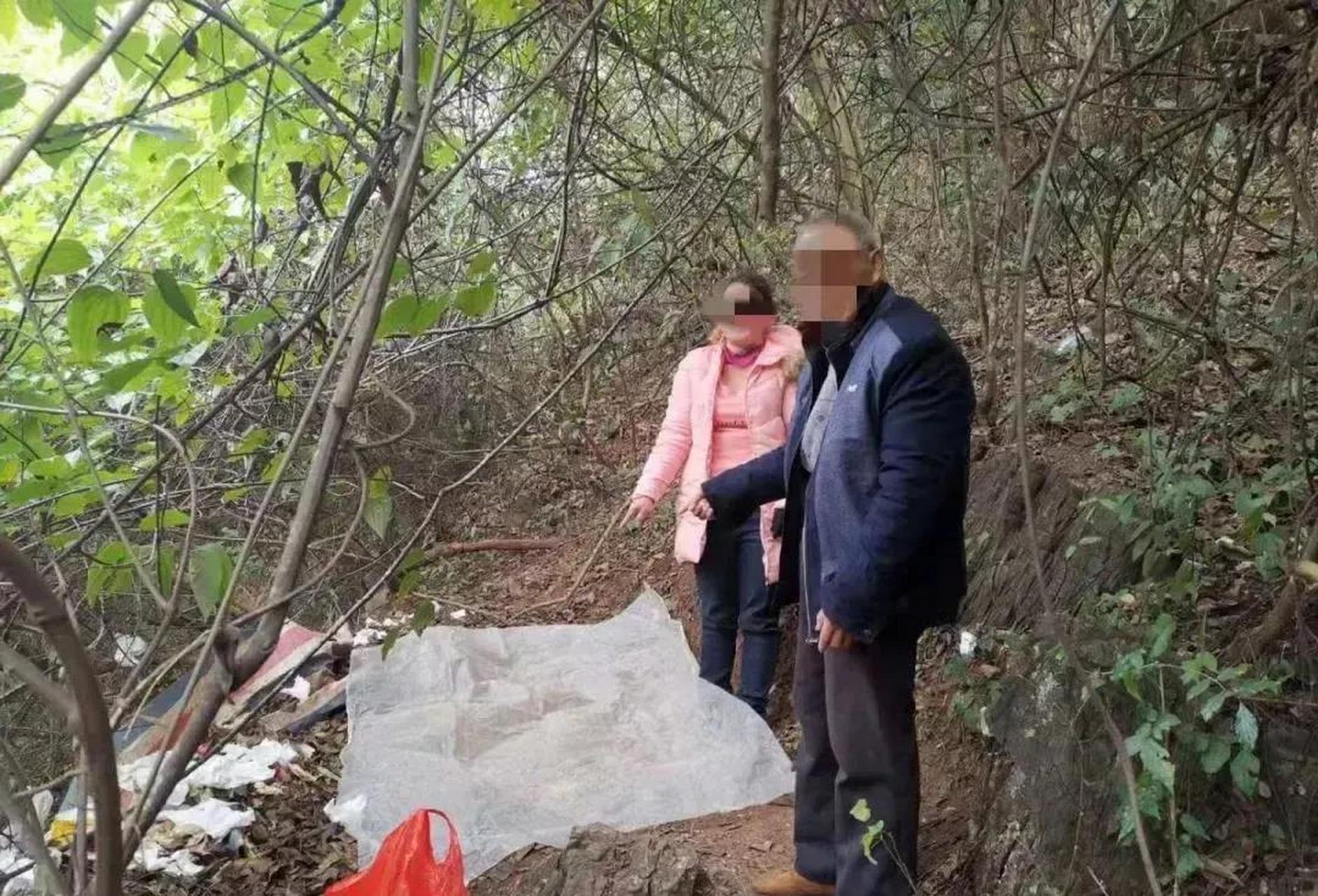 广西幼树林50块钱的