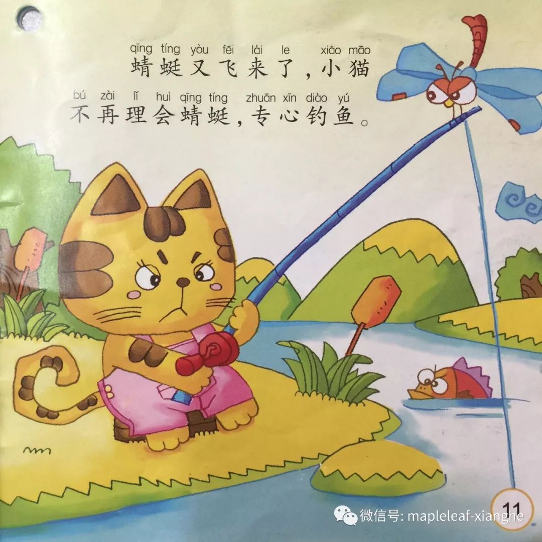 幼猫垂钓服务怎么做