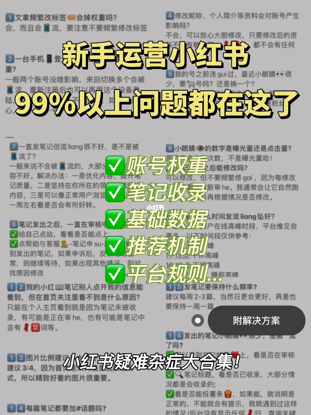 小红书yp攻略