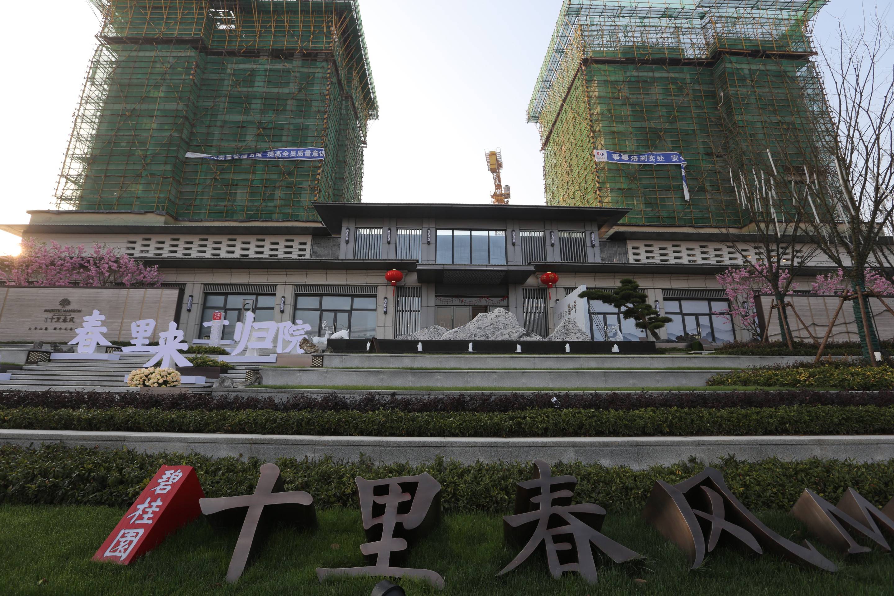 东风楼论坛信息