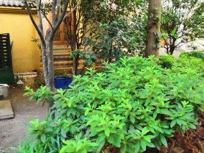 葫芦岛三角公园晚上几多钱一次