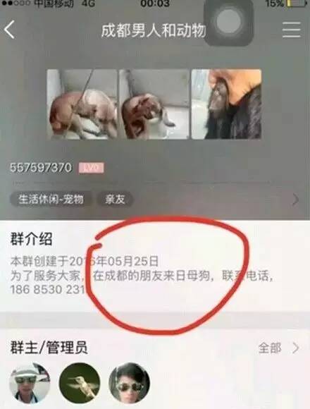成都郫都区卖婬的在哪最多