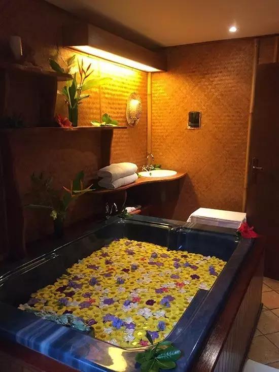 海豚spa是荤的还是素的