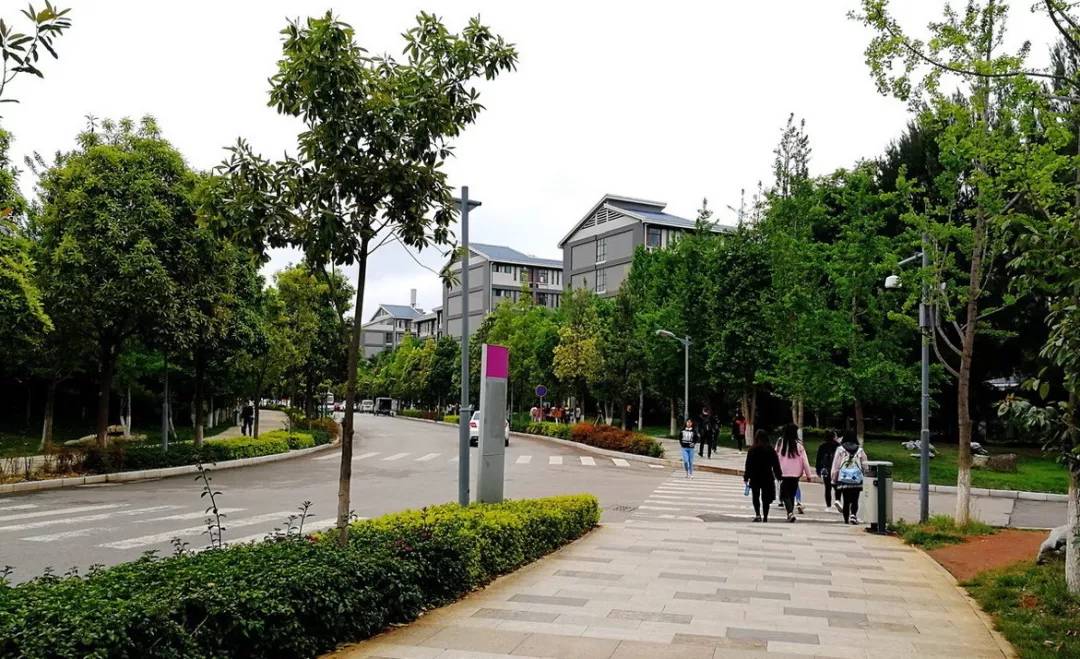 呈贡大学城后面的幼小路叫杉字