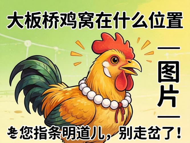 大板桥鸡窝在什么地位图片