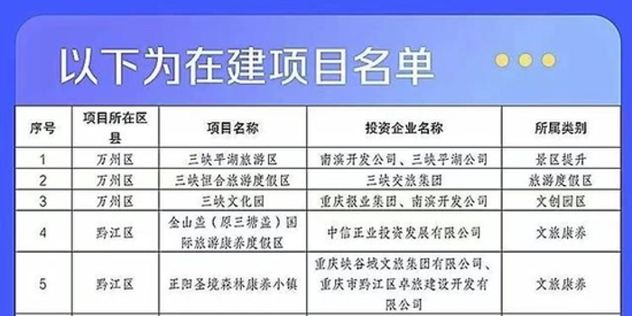 98项目是什么意思