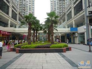 北碚天生丽街300元一个