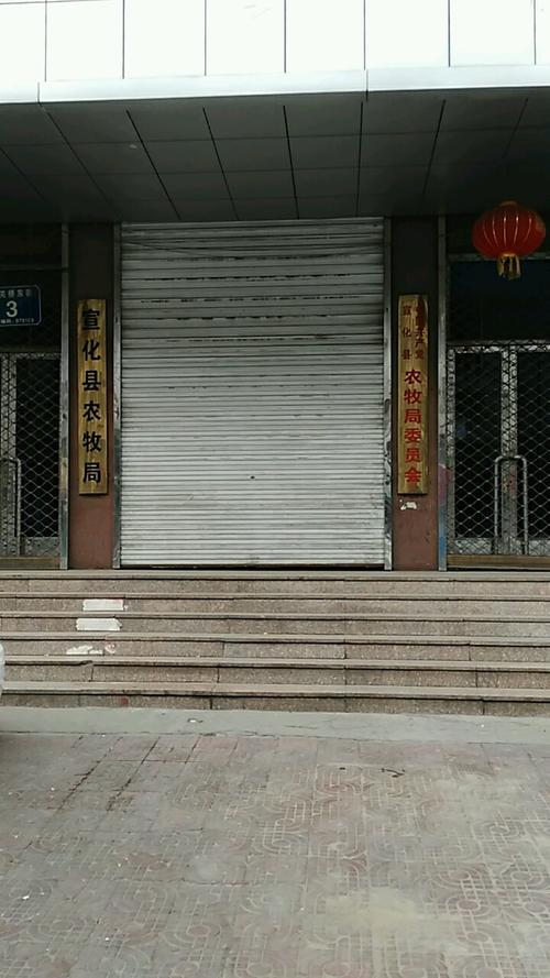 宣化观音后街怎么找女