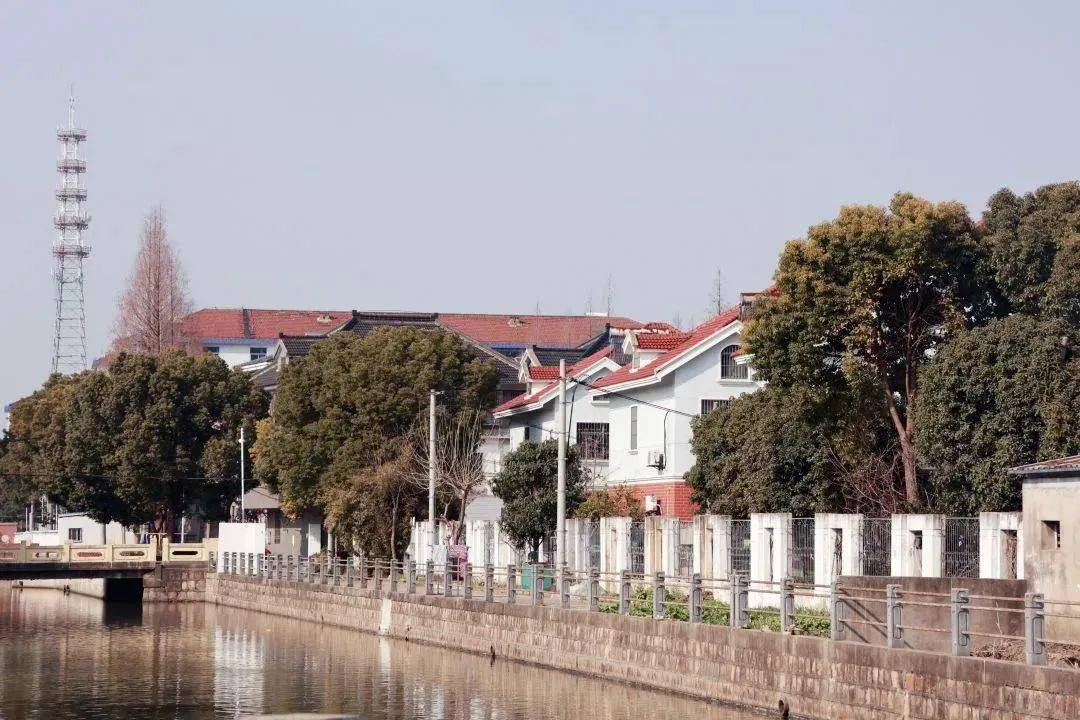青浦凤溪镇50一枪