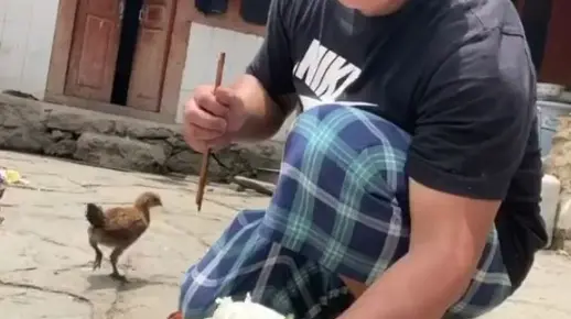 汉子找鸡