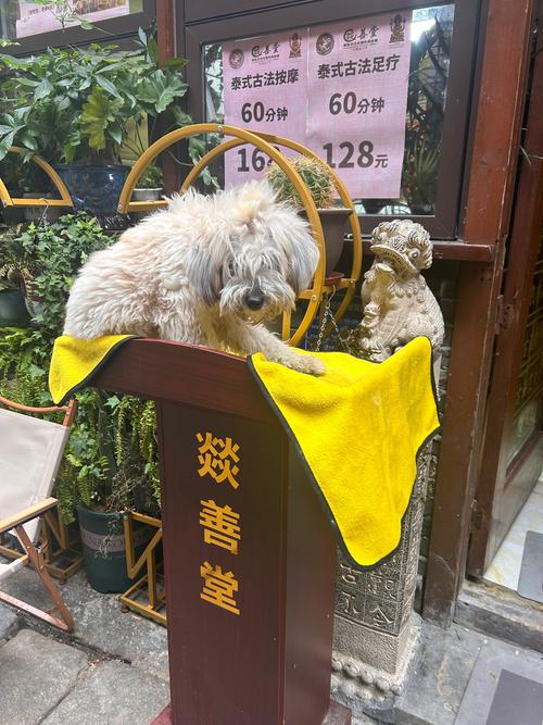 北京幼小路里推拿店