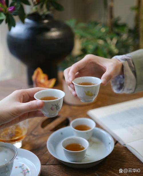 与你号品茶