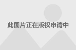 美女特殊服务