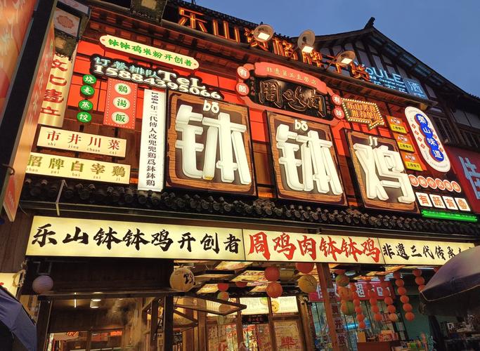 乐山哪条街有卖的