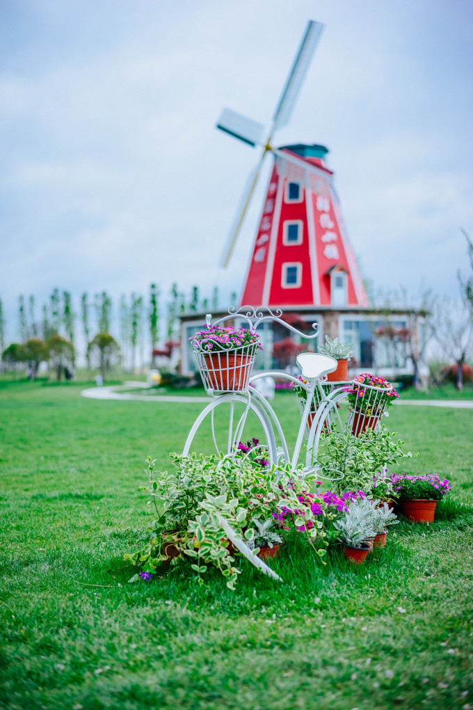 上海后花圃爱上海