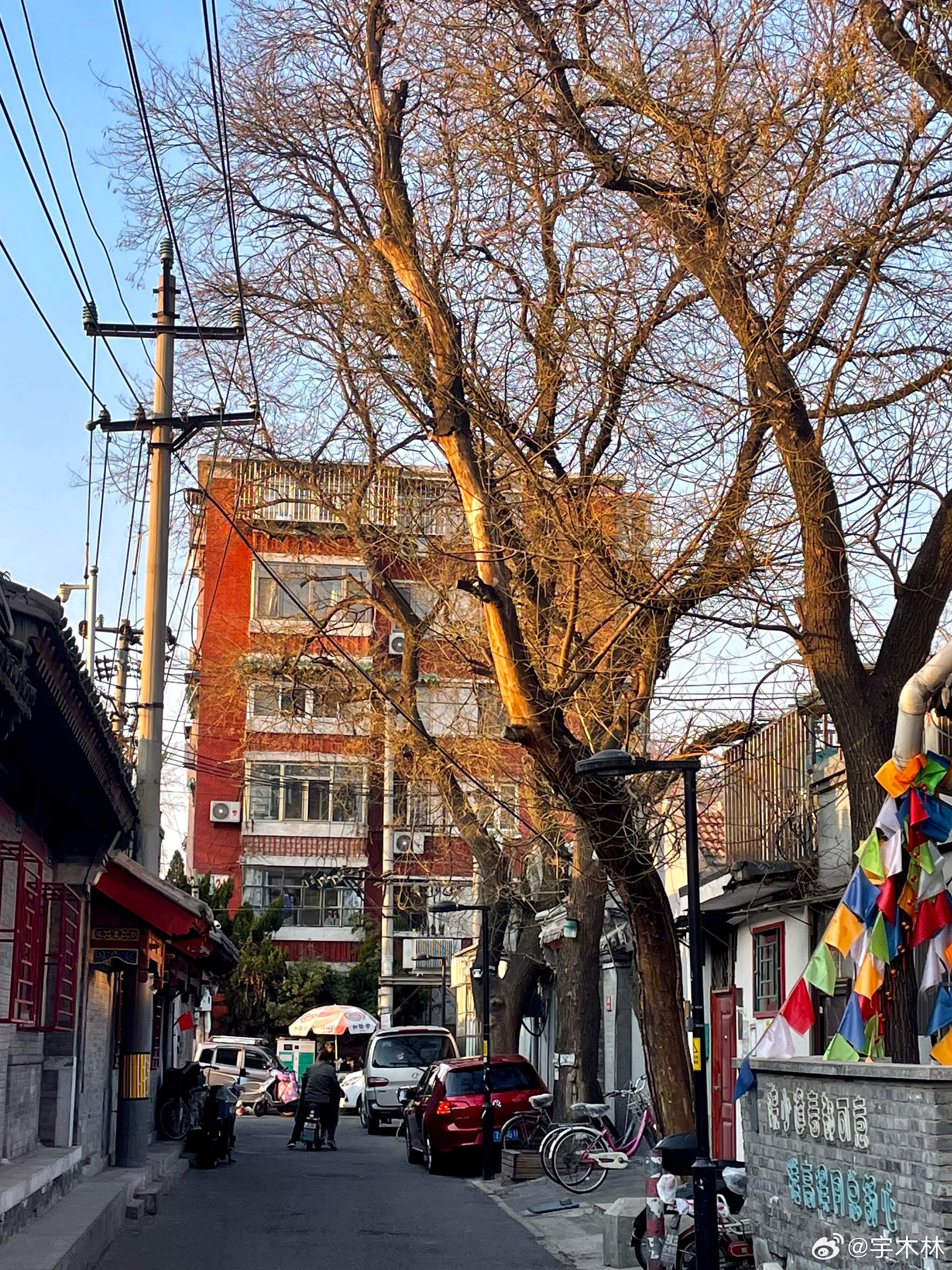长春蝶恋花后面胡同