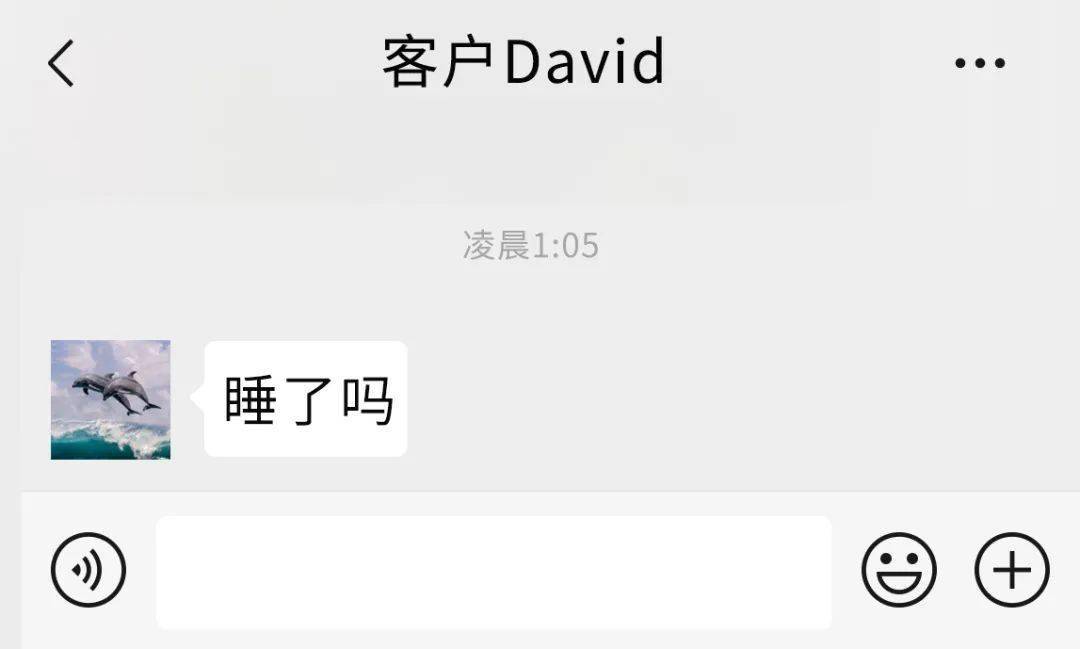spa项目黑话