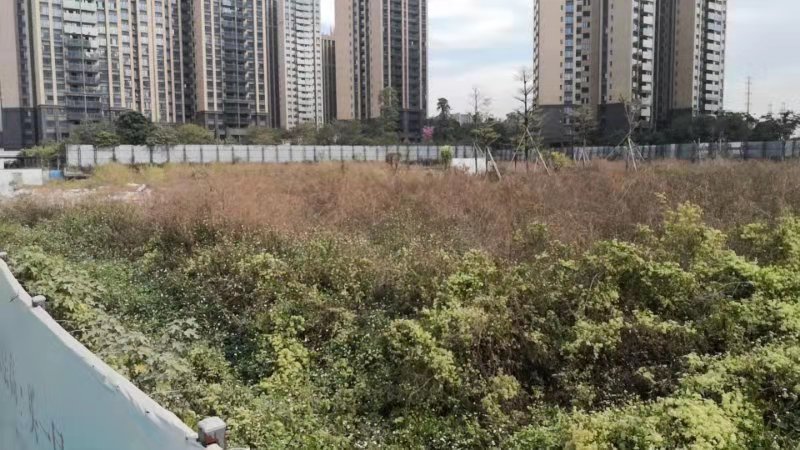 博罗石湾9598场所
