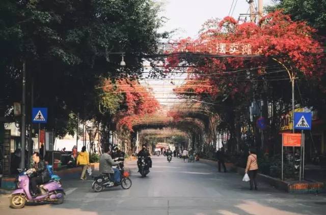 嘉峪关市琅西村幼小路叫什么