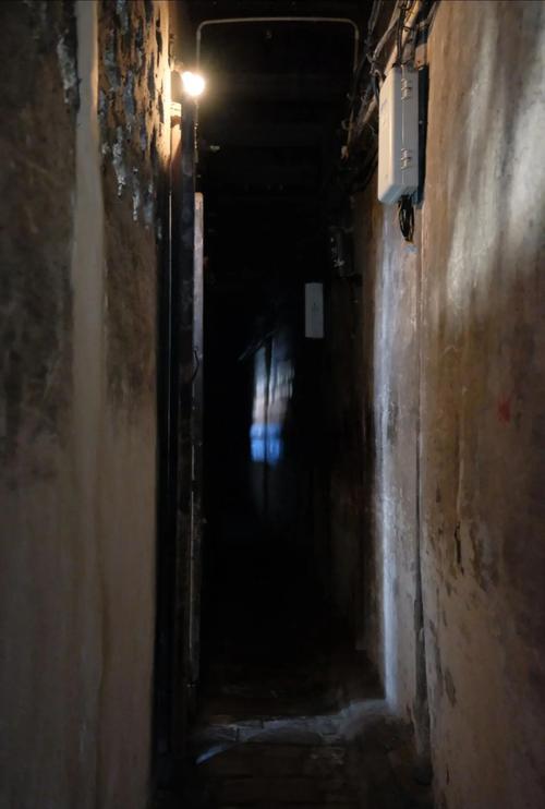 黑小路找鸡