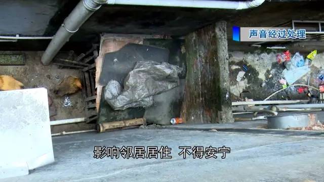 青浦赵巷鸡窝在那里