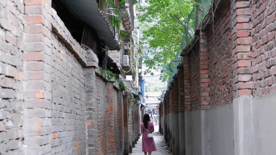 南充水井巷站街此刻叫什么幼区