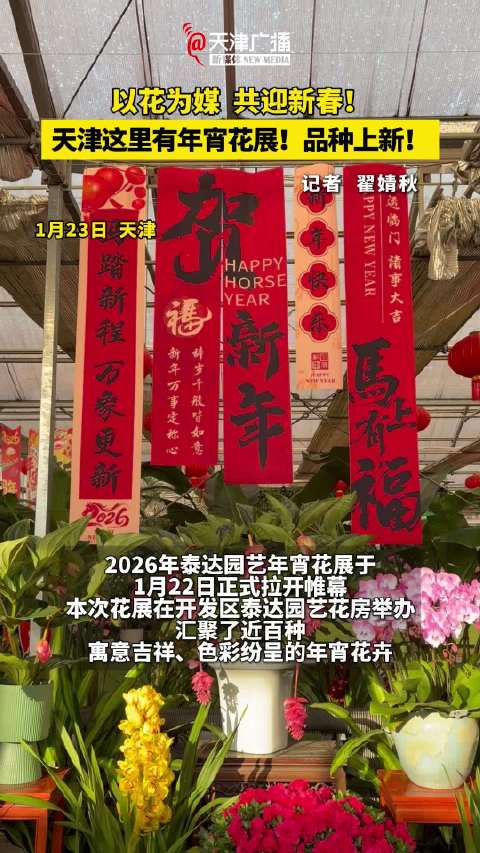 天津寻花九品升级