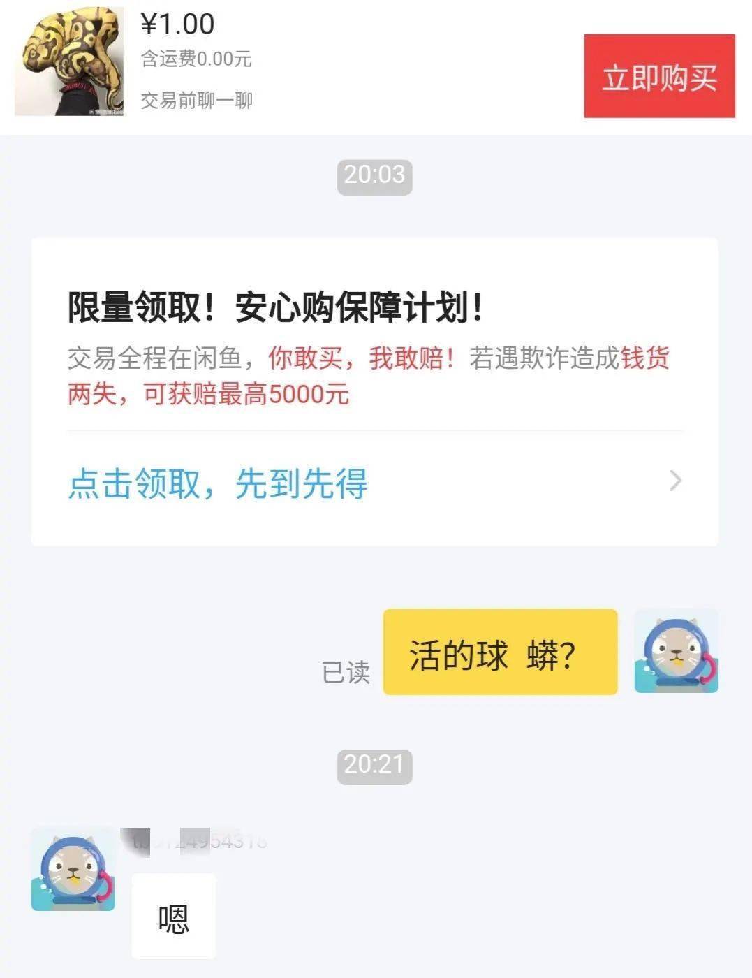 闲鱼上的切口有哪些