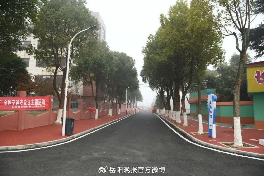 岳阳职院后街是学生吗