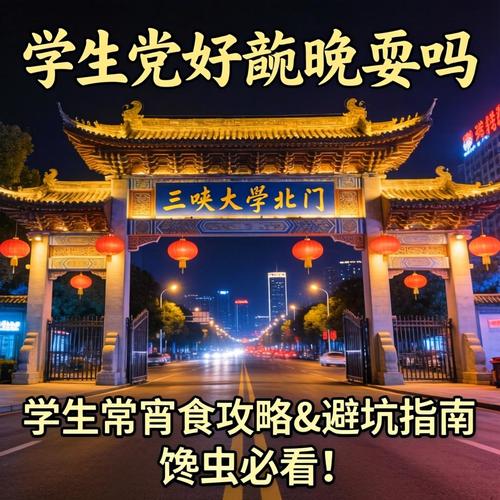 三峡大学北门晚上有耍吗