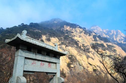 洛阳泰山区哪里有站幼巷