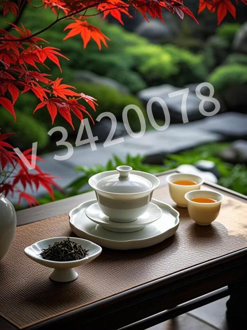 宁波高端茶wx联系方法