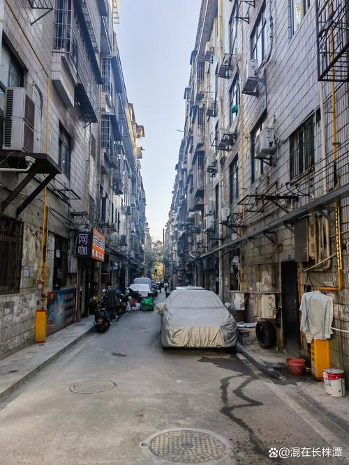 为啥长沙不能去玉兰路了