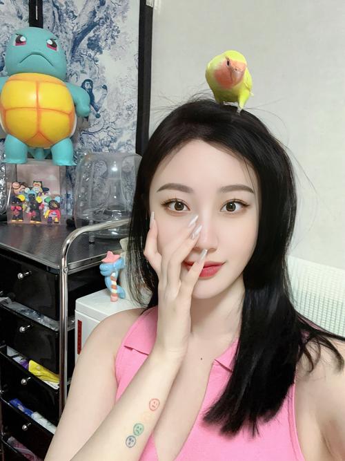 百子湾的女孩几多钱