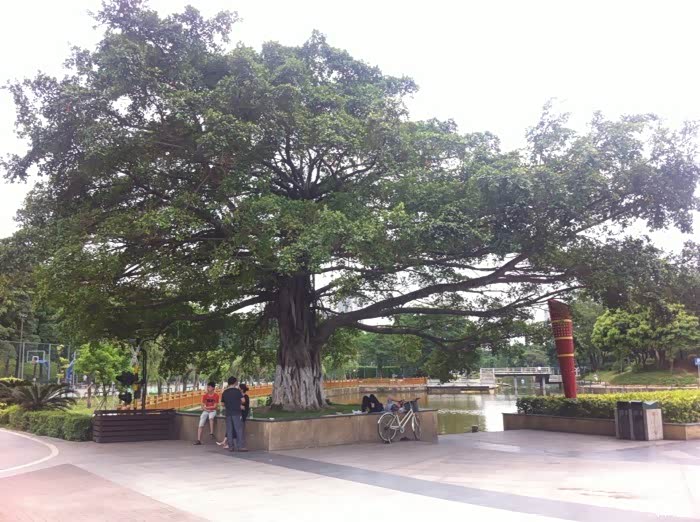 常平铁路公园左近的小路