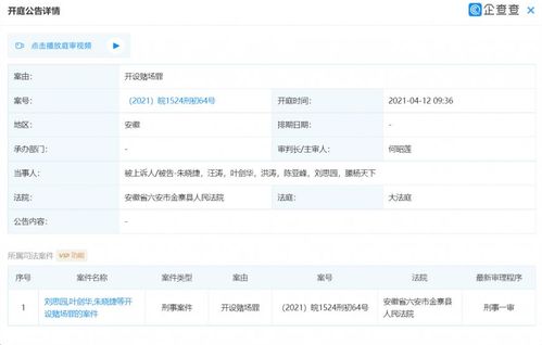全国可飞什么意思