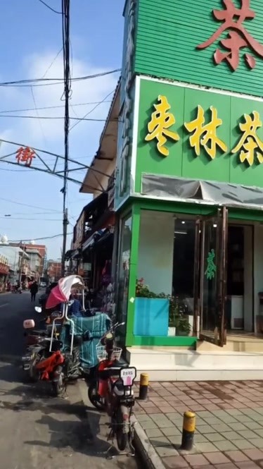 南阳枣林街的姑娘去哪里了