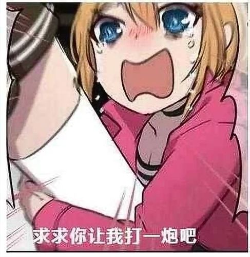 500打一炮值不值