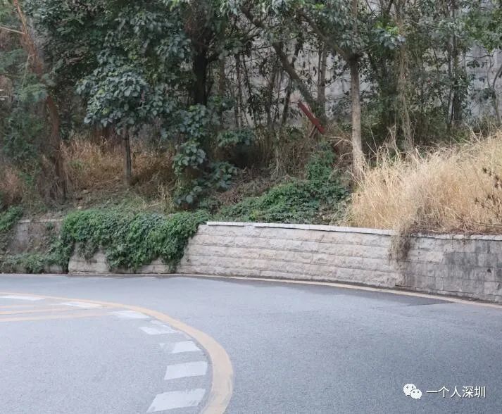 南山蛇口小巷子
